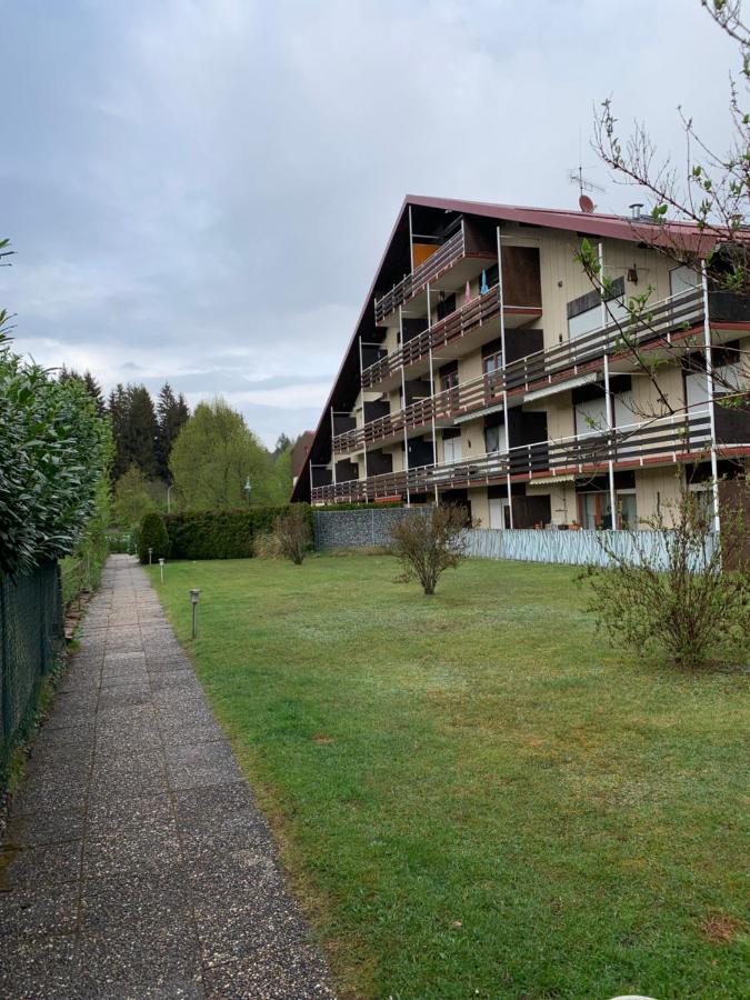 Ferienwohnung Lara Ludwigswinkel Dış mekan fotoğraf